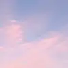 frida flores - @fridafflores - TikTok