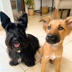 FRIDA & TURI 🖤💛 - @fridascott_y_turymix - Instagram