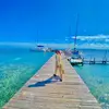 Frida Scott mollinedo - @frida.scott.molli - TikTok
