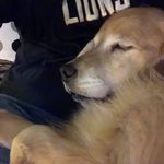 Frieda Cooper - @friedacooper - Instagram