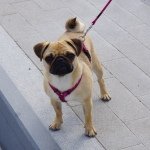 Frieda - @frieda_cooper - Instagram