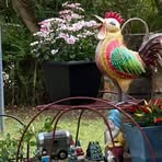 Frieda Edwards - Facebook