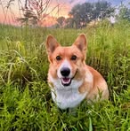 Freida Holmes - Facebook