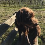Frieda - @frieda_the_hunter - Instagram