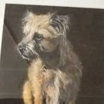 Frieda Lamb - @freedee139 - Instagram