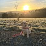 Frieda Labbi Bergisches Land - @labbi_bergisches_land - Instagram