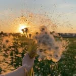 Frieda Lemke - @cook_ie26061 - Instagram