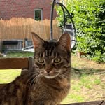Friedel Lemke - @friedellemke - Instagram