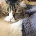 Frieda Link - Facebook