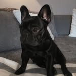 Frieda ★ - @thelittlefrieda - Instagram