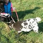 Frieda - @little.goat_frieda - Instagram