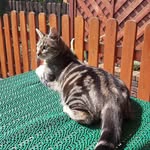 Frieda - @little_frieda_ - Instagram