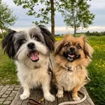Frieda, Trudi & Co. - @littlegreekfrieda - Instagram