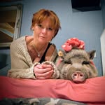 Frieda's kleine Welt 🐽🤍🩷🤍 - @frieda_little_cute_pig - Instagram