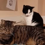 kn - @my_little_frieda - Instagram