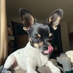 The Little Honey - @ellowyn_frieda_little - Instagram