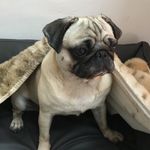 Frieda Lütz - @frieda.luetz - Instagram