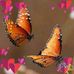 Frieda Lutz - Facebook