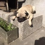 Frieda Lütz - @lutzfrieda - Instagram