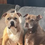 Frieda May - @momma_bear2boys - Instagram