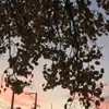 FriedaAMayme - @friedaamayme - TikTok