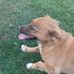 Frieda Mayer - Facebook