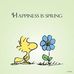 Frieda Mayer-Allen - Facebook