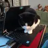 Freida Mueller - @user11143405268134 - TikTok