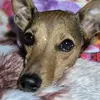 Frida Muller - @frida.muller3 - TikTok