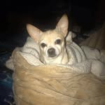 Freida Murray - @freida.murray - Instagram