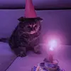 frieda neumann - @frieda.neumann - TikTok