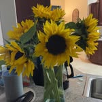 Frieda Oehler Parks - @friedaparks - Instagram