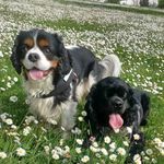ℙ𝕒𝕦𝕝 & 𝔽𝕣𝕚𝕖𝕕𝕒🌼 - @paul_frieda_ - Instagram
