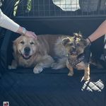 Frieda & Paul - @frieda.et.paul - Instagram