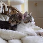 Frieda & Paula - @frieda_paula2020 - Instagram