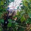 Frieda_Paula_dumm - @frieda_paula_ - TikTok