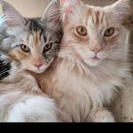 Frieda und Paula - @frieda_paula_666 - Instagram