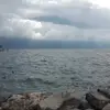 Loni - @friedapaul61 - TikTok