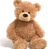 SarahGlendonO03QW2 - @paulfrieda4ly5 - TikTok