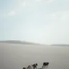 friedaprince - @friedaprince - TikTok