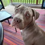 Freida Briley Ray - @freida.ray - Instagram