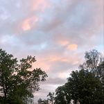 frieda - @frieda.reads - Instagram