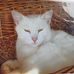 Frieda Reichl - Facebook