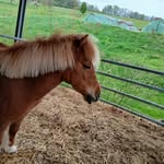 Frieda Richter - @fridolin496 - Instagram