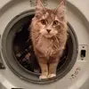 Miss Frieda Ritchie I - @ruby200125 - TikTok