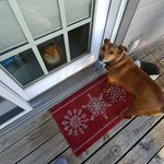 Frieda Robinson - @robinsonfrieda - Instagram