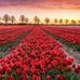 Frieda Rowe - Facebook