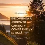 Frida Sánchez - Facebook