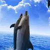 Frieda Sanchez - @frieda.sanchez3 - TikTok
