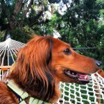Frieda Sanchez - @iheartbeanz - Instagram